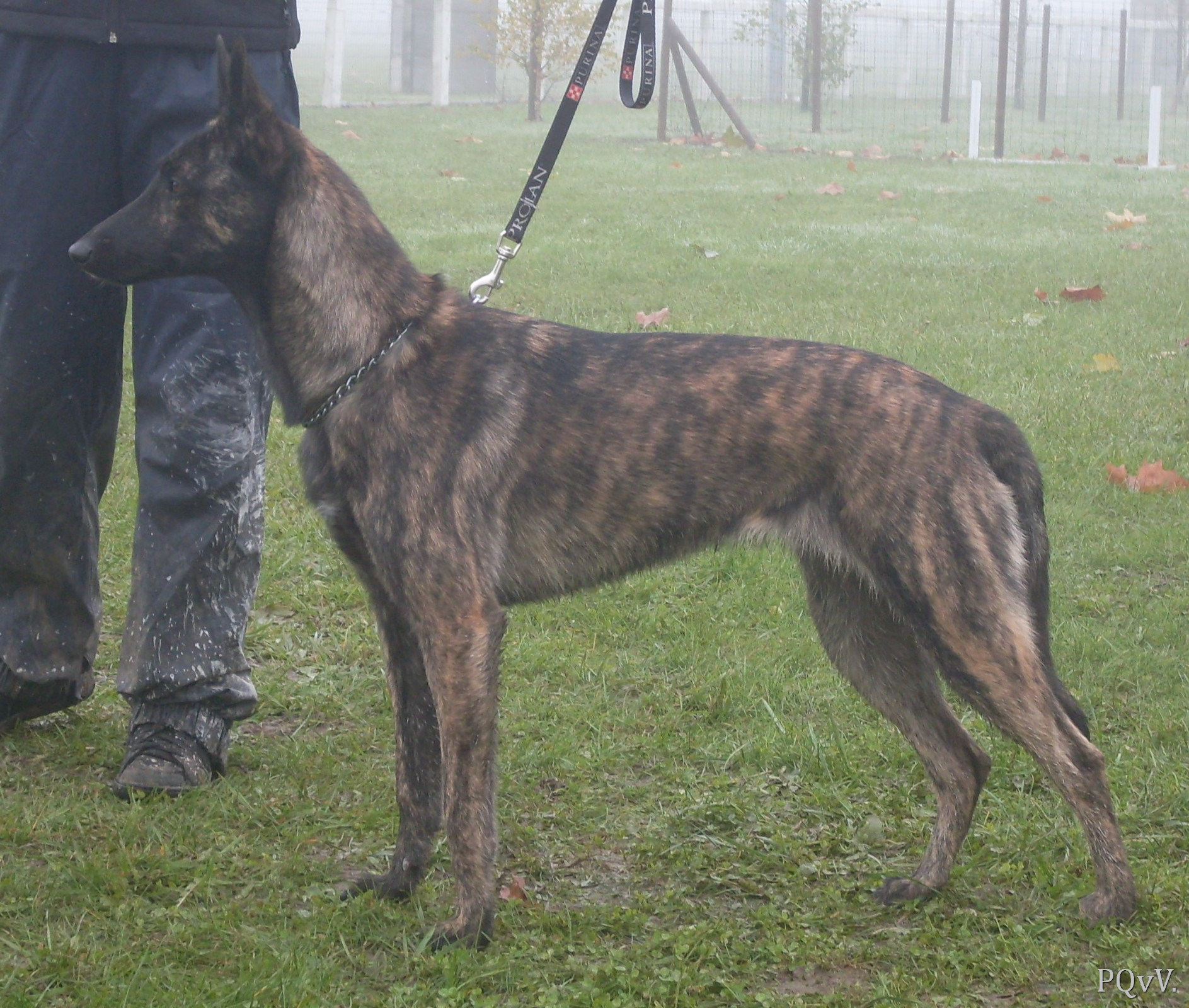  Gyn de la Cité des Maraudeurs